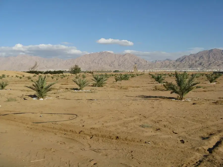 Arava Valley — Edom Mountains (Jordan)