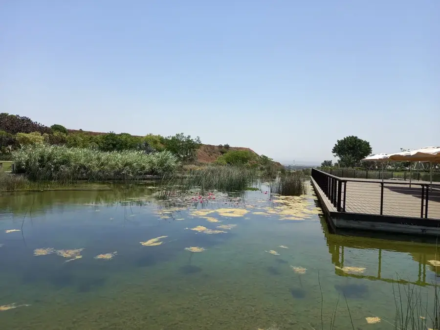 Ariel Sharon Park