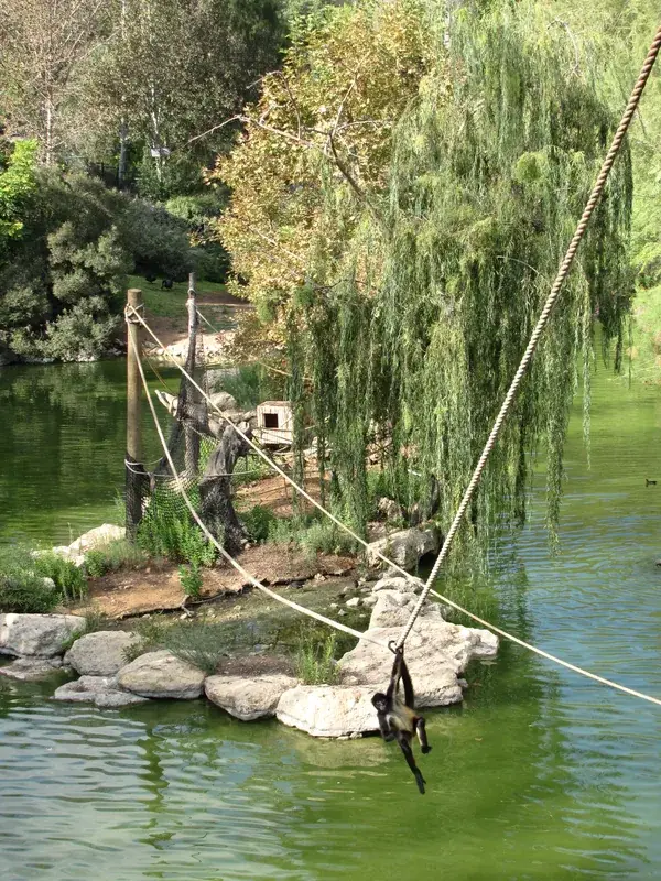 Jerusalem Biblical Zoo