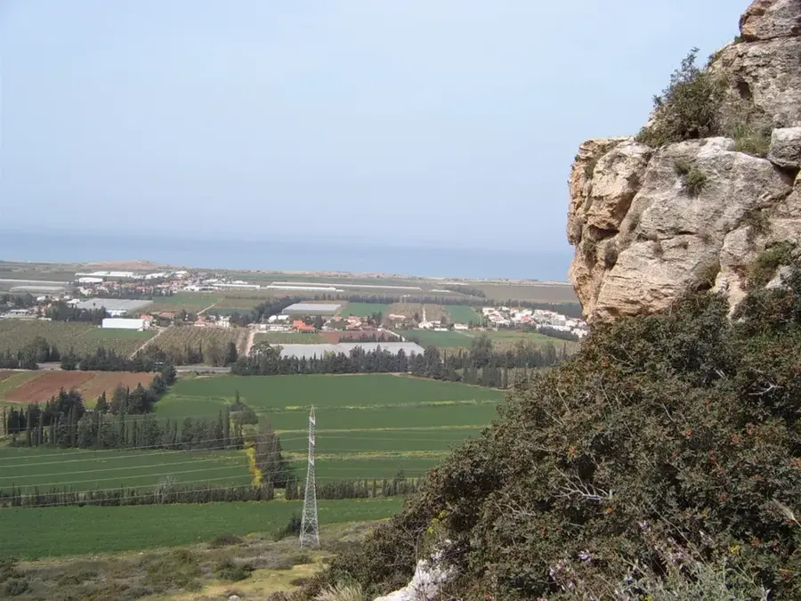 Carmel Coastal Plain