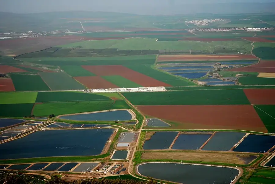 Valea Izreel — Muntele Tabor (Israel)