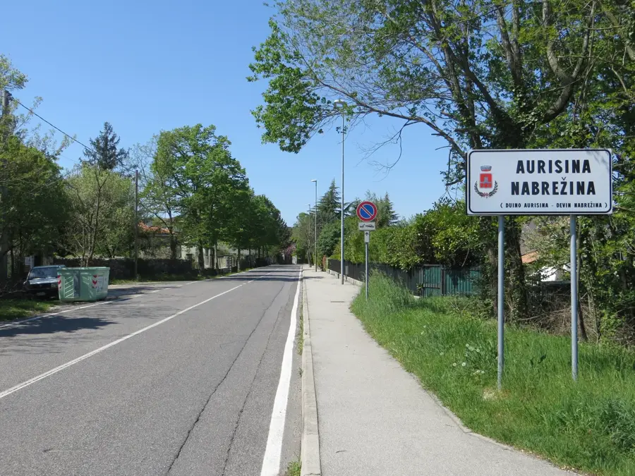 Aurisina