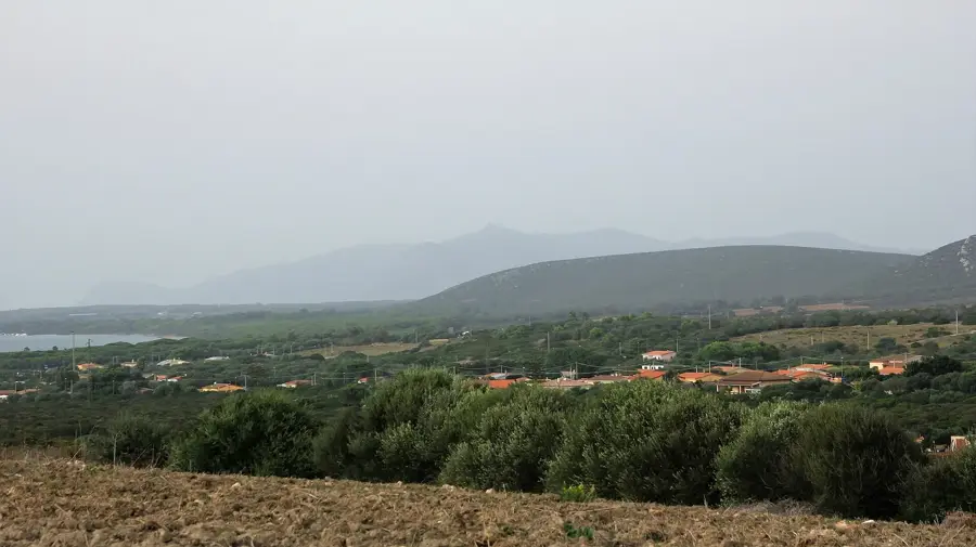 Maristella