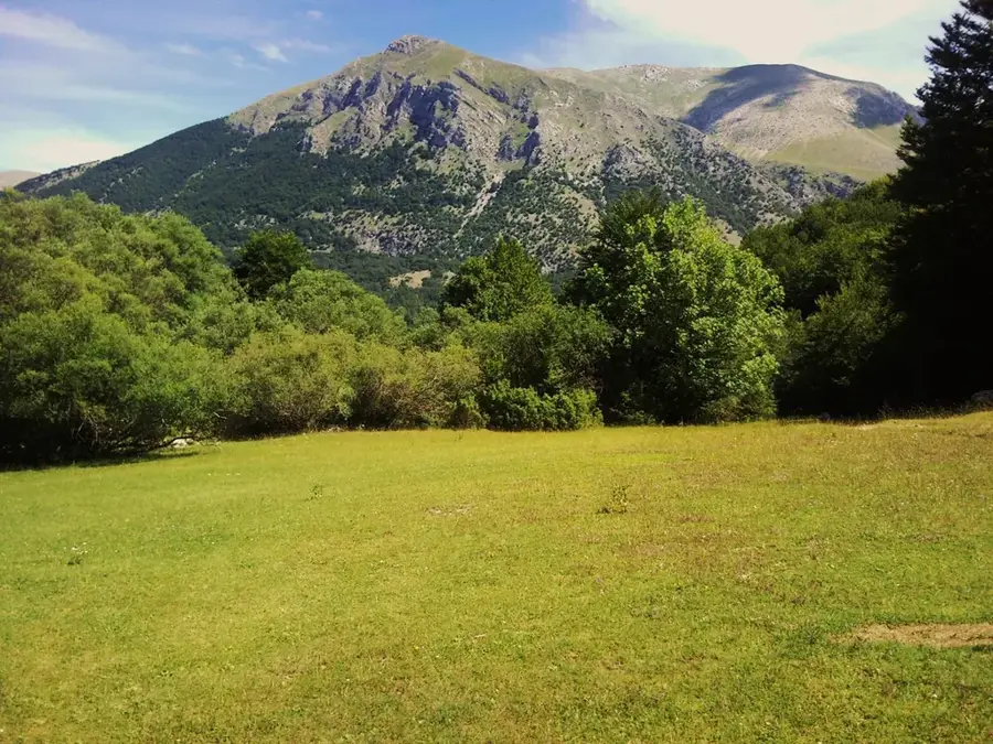 Monte Marsicano