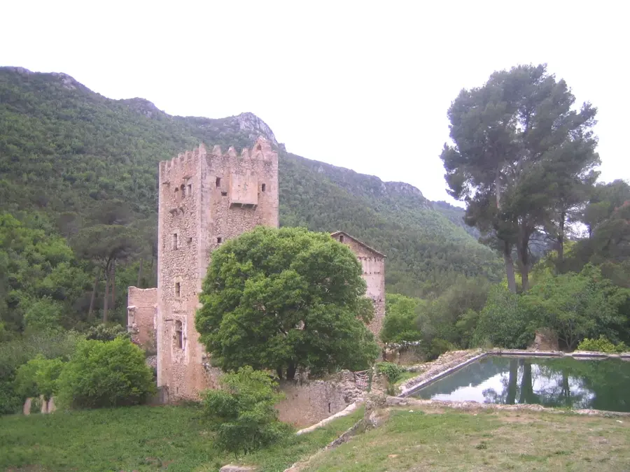 Murta Maria