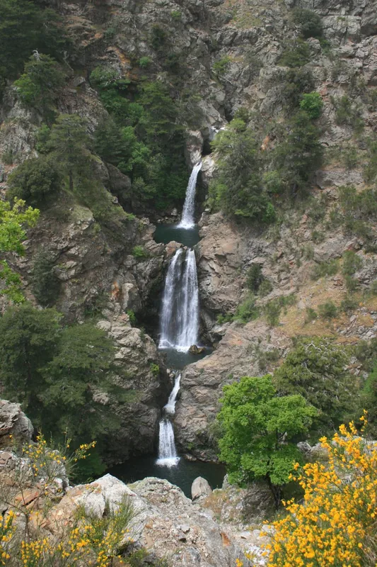 Aspromonte Nemzeti Park