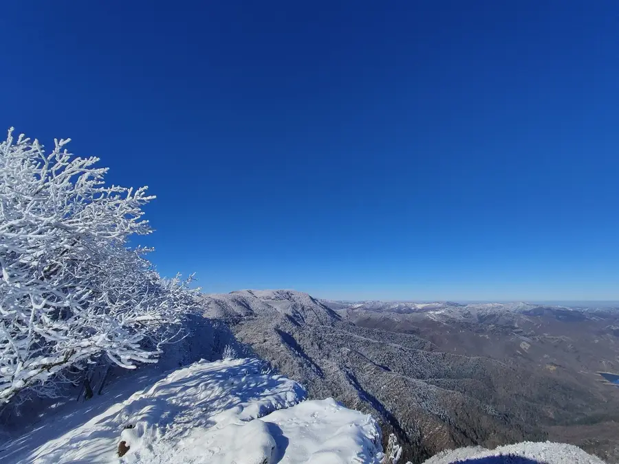 Nationalpark Foreste Casentinesi — Palazzo Vecchio (Italien)