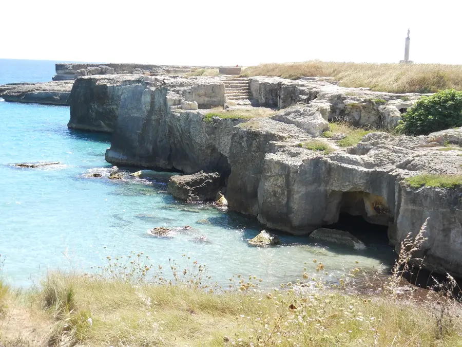 Roca