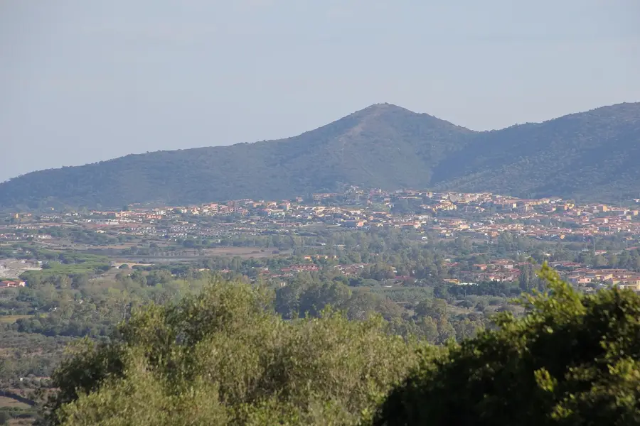Tanaunella