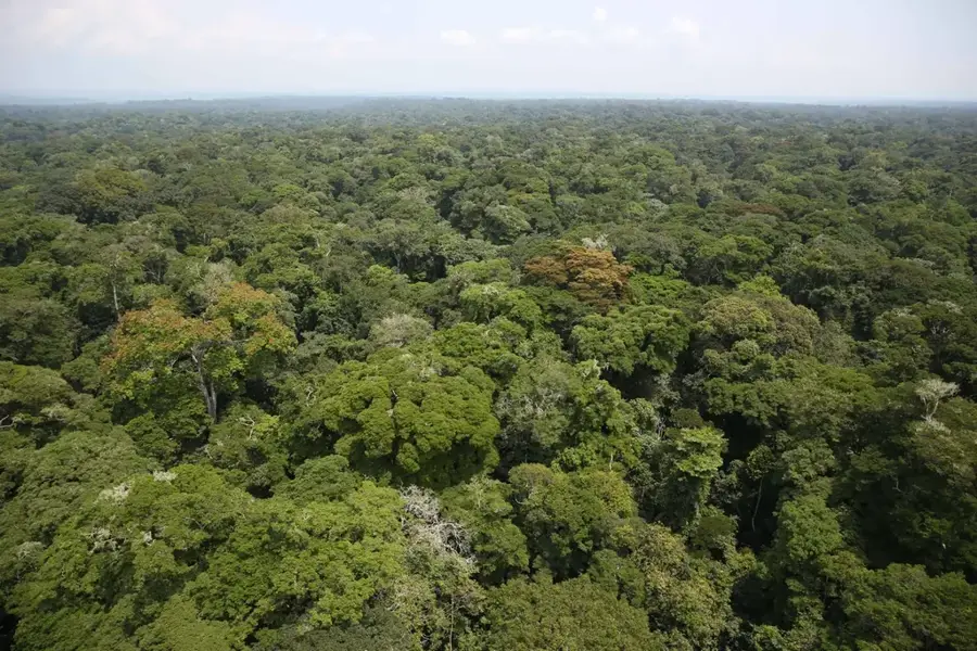 Pădurea Ituri — Lacul Albert (Congo - Kinshasa)