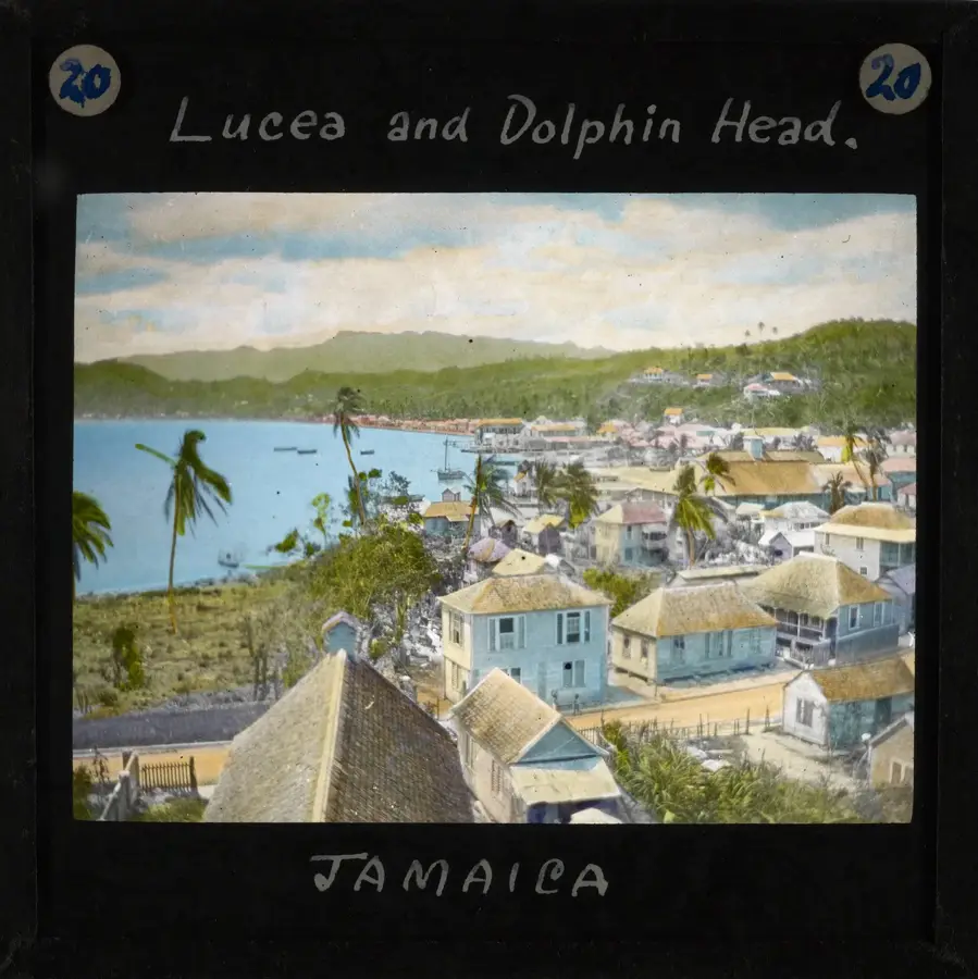 Lucea — Dolphin Cove (Jamaika)