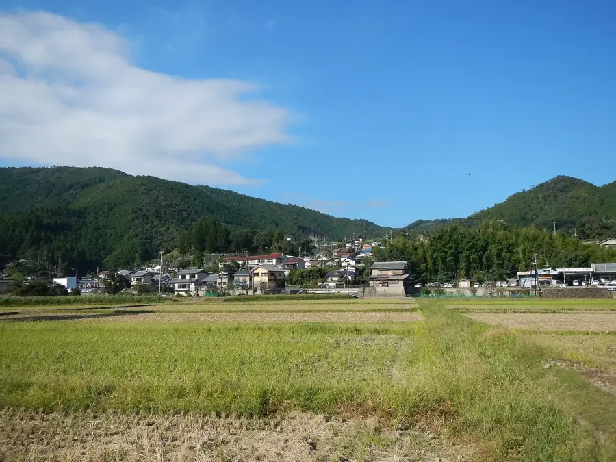 Kumano Kodo
