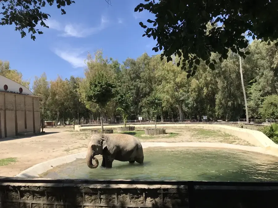 Grădina Botanică Lubango — Matala (Angola)