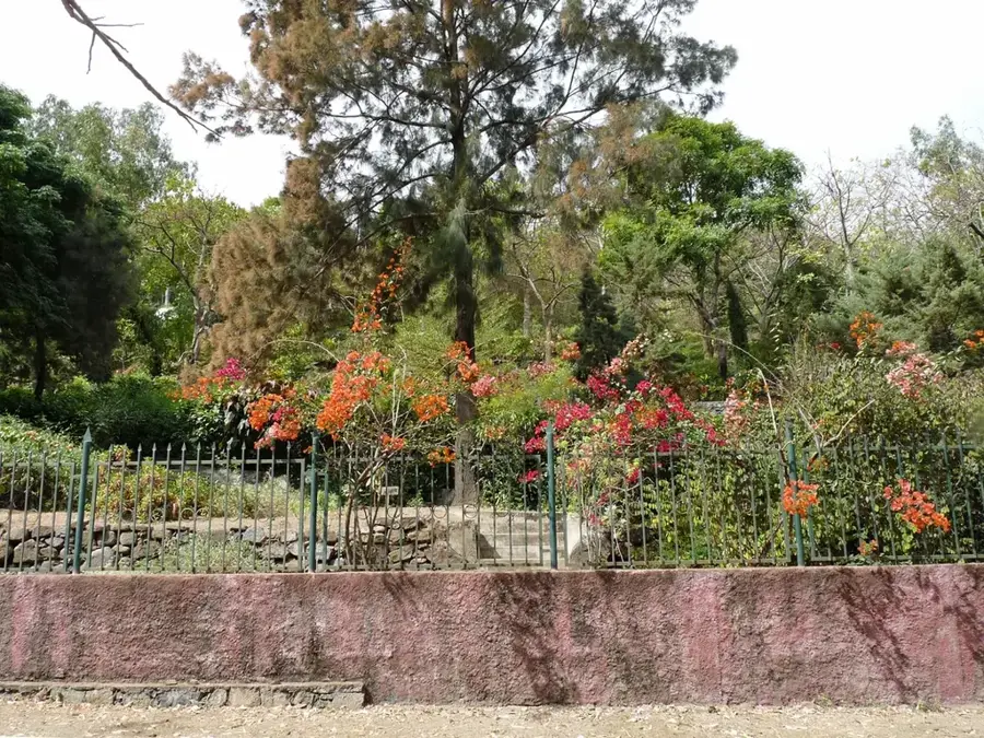 Grădina Botanică Națională Grandvaux Barbosa — Assomada (Capul Verde)