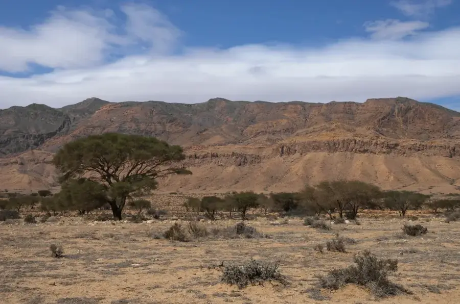 Djebel Bou Hedma — Asosa (Äthiopien)