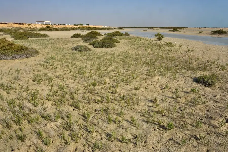 Jebel Fuwayrit — North Field (Qatar)