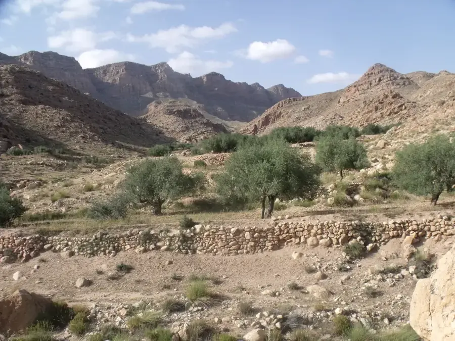 Djebel Orbata — Gambela (Etiopia)