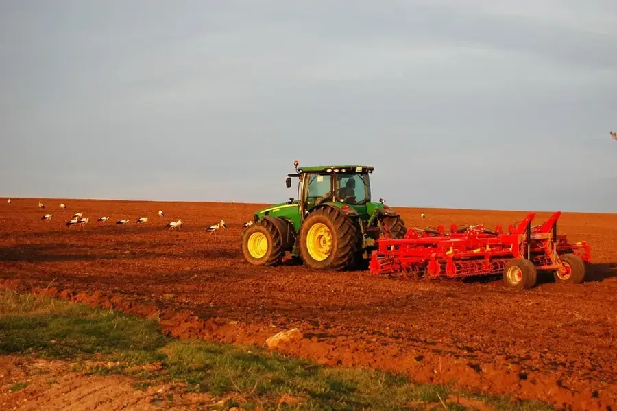 Centru de procesare agricolă — Munții Dry Harbour (Jamaica)