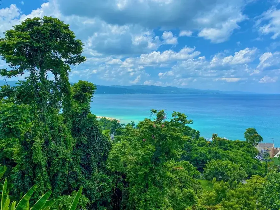 Montego Bay Freeport
