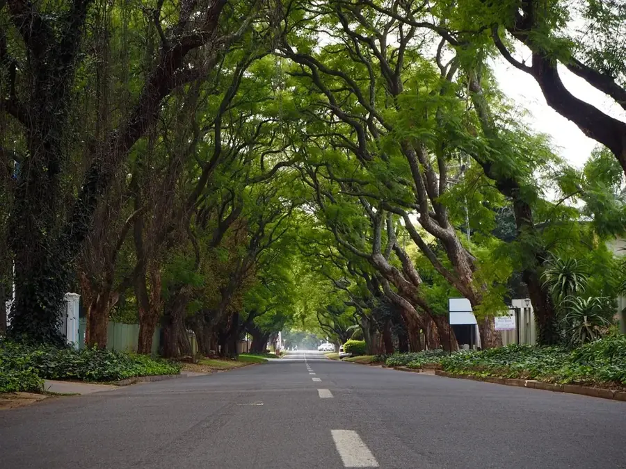 Muntele Johannesburg