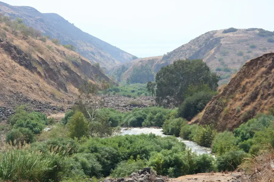 Jordan Rift Valley — Ain Basha (Jordan)