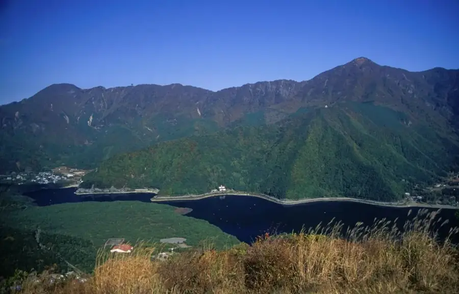 Pădurea Aokigahara — Numazu (Japonia)