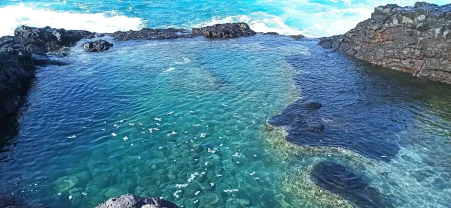 Juncalinho