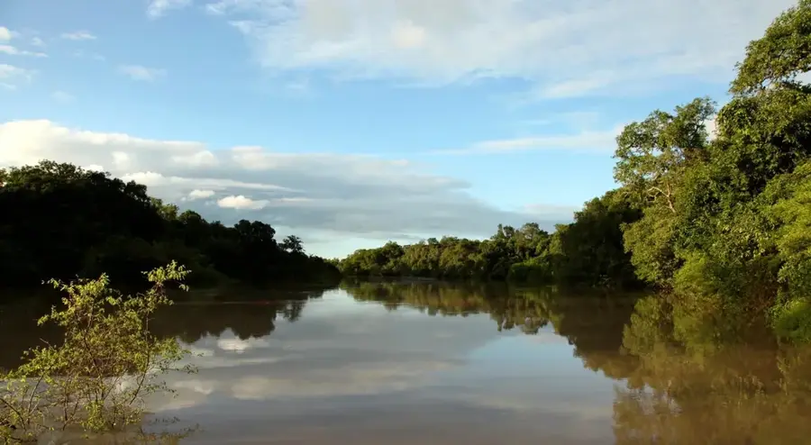 Kainji-Nationalpark-Wald — Kainji-Stausee-Ufer (Nigeria)