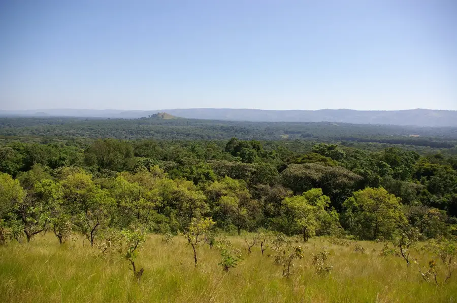 Kakamega