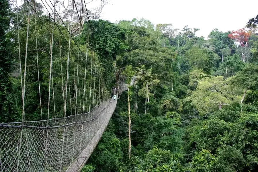 Parcul Național Kakum — Foso (Ghana)