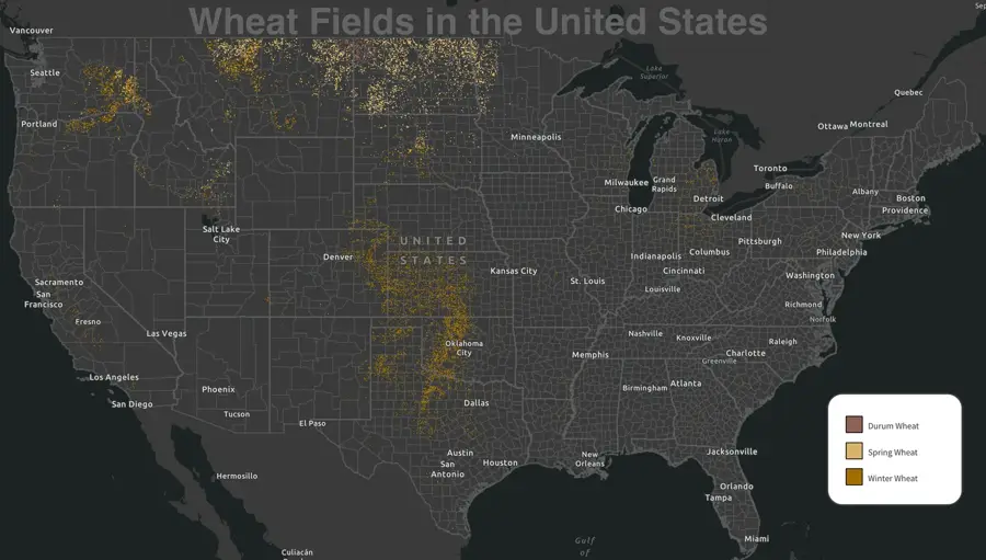 Weizenfelder in Kansas — Wichita (USA)
