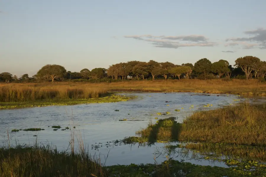 Katavi Nemzeti Park — Mpanda (Tanzánia)