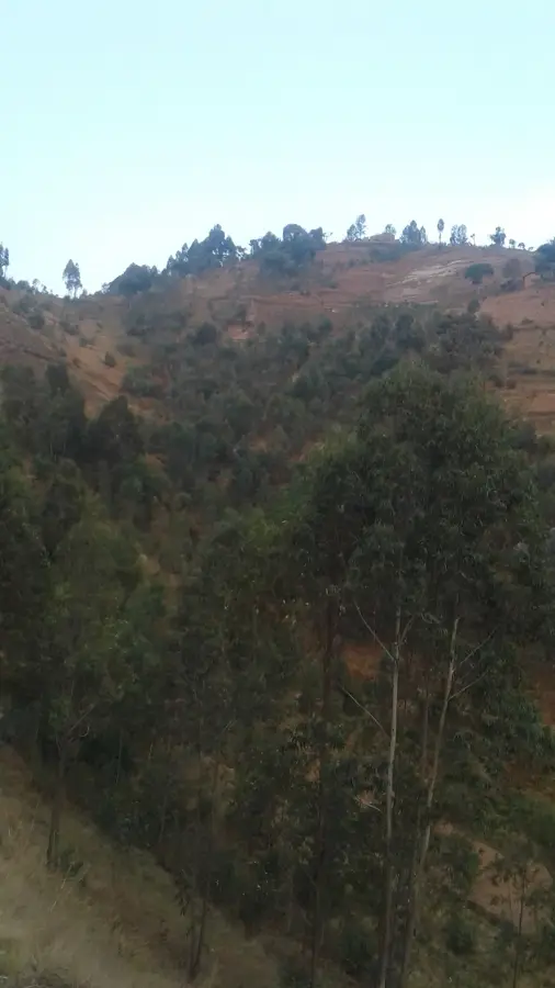 German Ruins of Kayanza — Rango (Burundi)