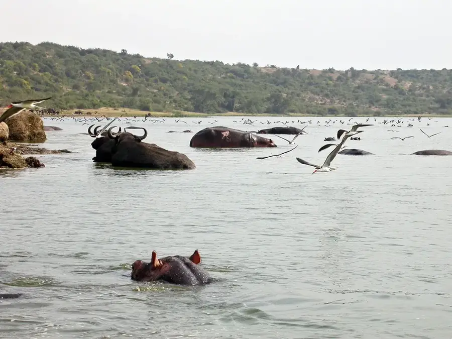 Kazinga-Kanal — Lake George (Uganda)