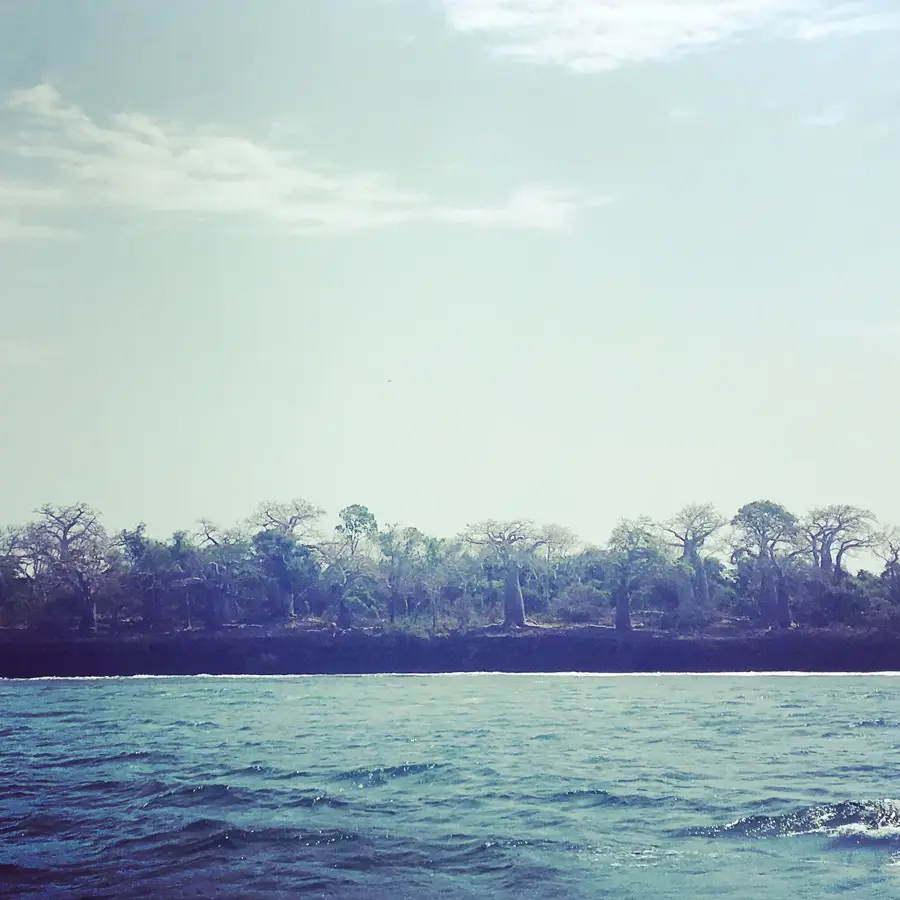 Kisite-Mpunguti Meeres-Nationalpark