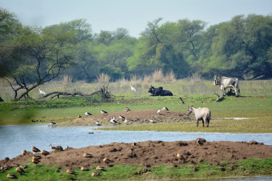 Keoladeo-Nationalpark