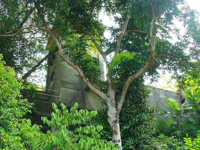 Keppel Werft — Labrador Naturreservat (Singapur)
