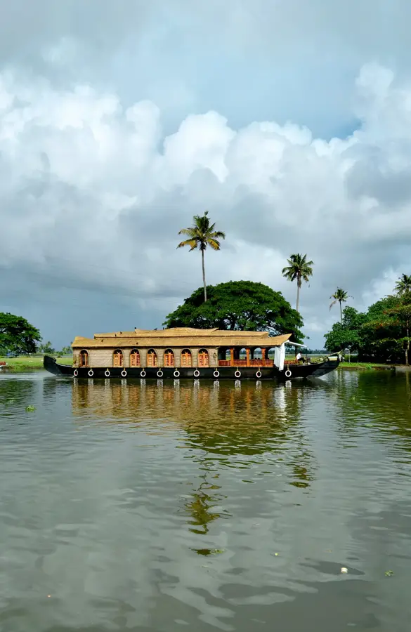 Câmpurile de orez din Kerala Backwaters — Kizhunna (India)
