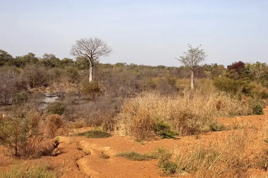 Parcul Național Kéran — Kandé (Togo)