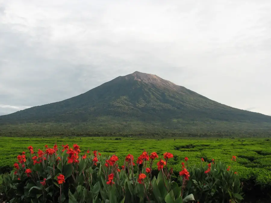 Valea Kerinci