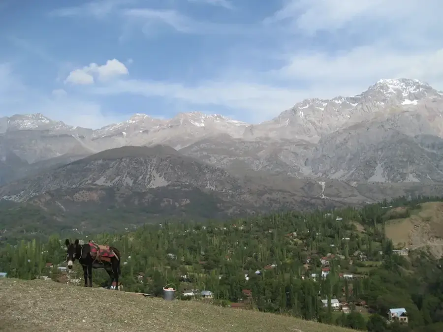 Arslanbob Walnut Forest