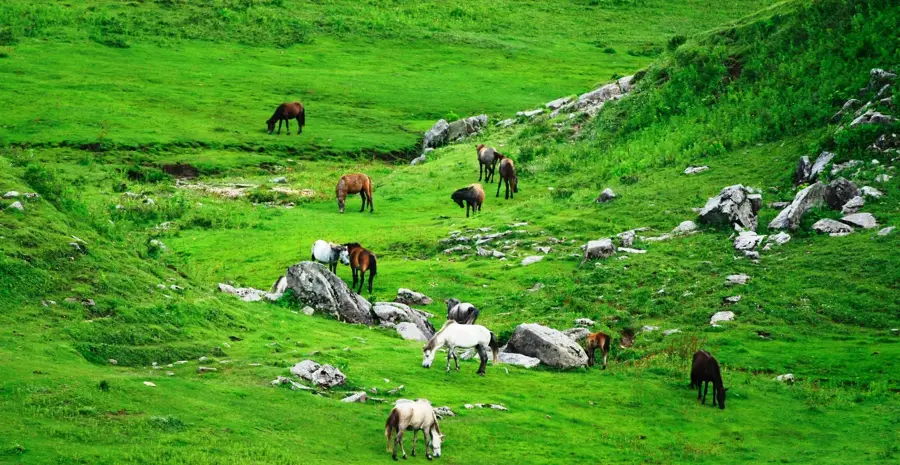 Khaptad-Nationalpark