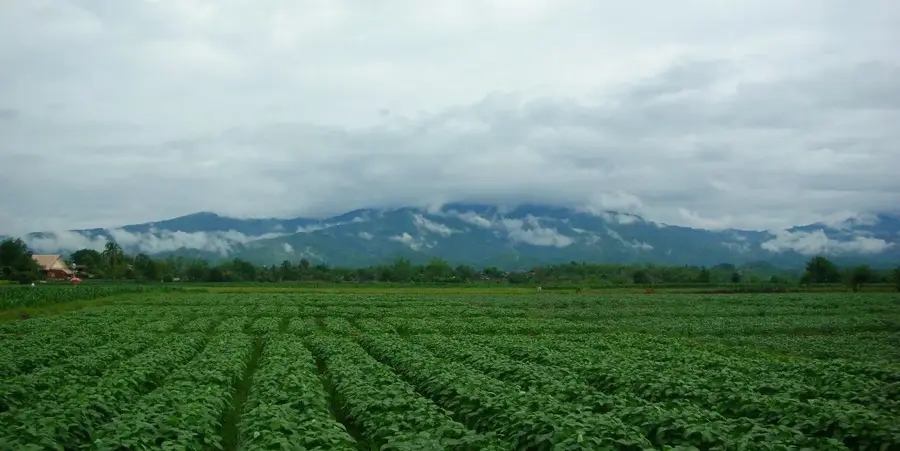 Lanțul Khun Tan — Doi Pha Hom Pok (Thailanda)