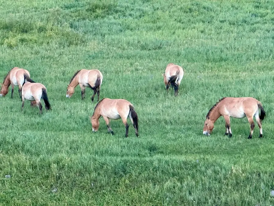Hustai National Park