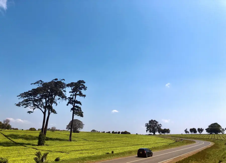Kiambu