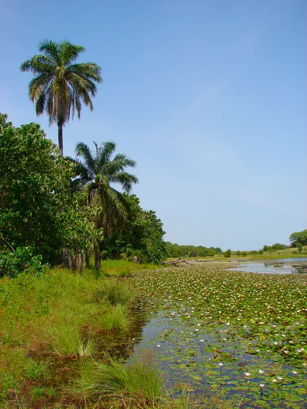Kiang West Nationalpark