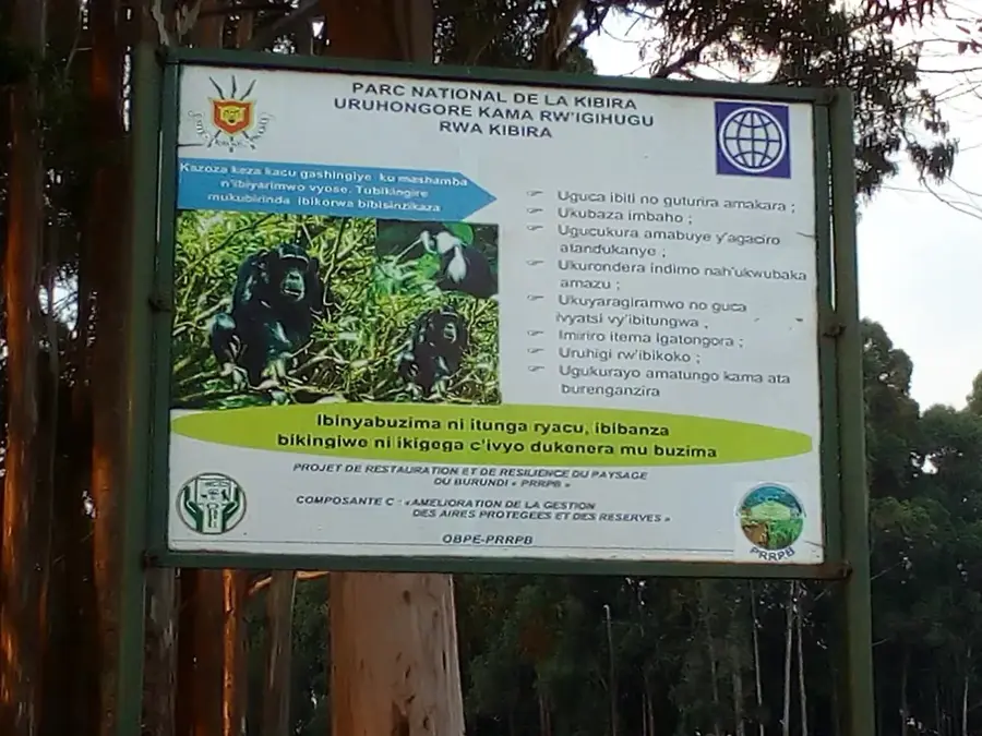 Kibira Nemzeti Park