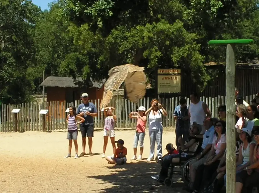 Badoca Safari Park — Albufeira Lagoon (Portugal)