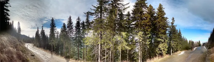 Arka Park Păltiniș