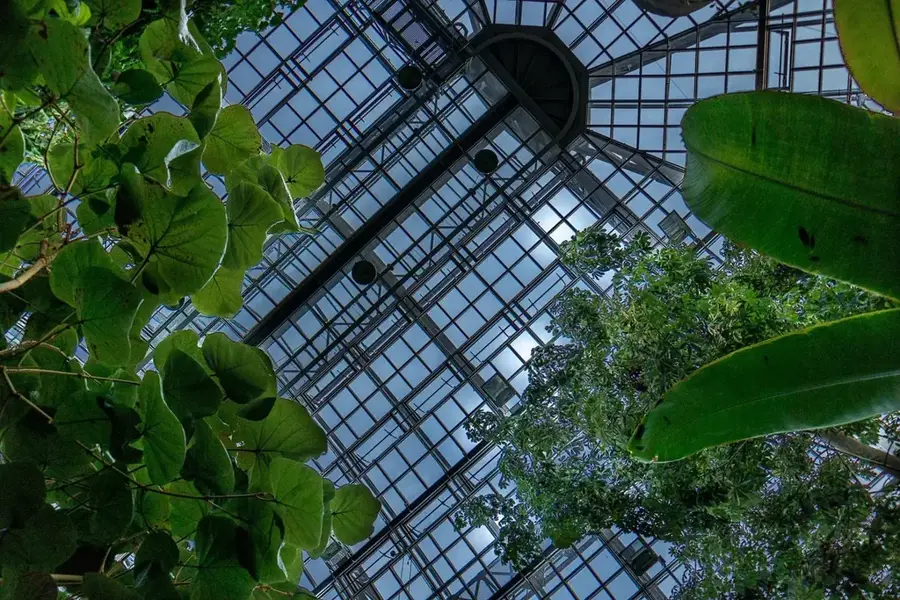 Berlin Botanical Garden — Pfaueninsel Castle (Germany)